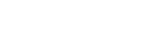 SpeedFleet FS-Check