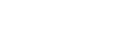 SpeedFleet UVV
