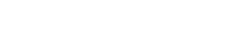 SpeedFleet